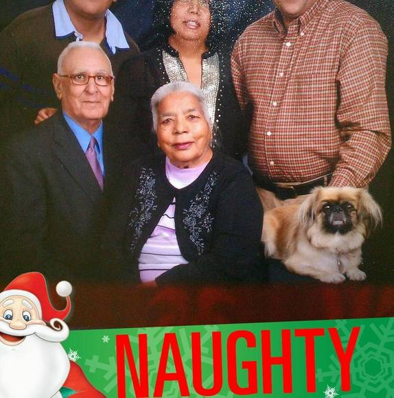 Meet your Posher, Sharif - Picture 1 of 1